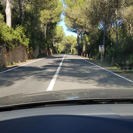 Los Vientos Son Parc Dış mekan fotoğraf